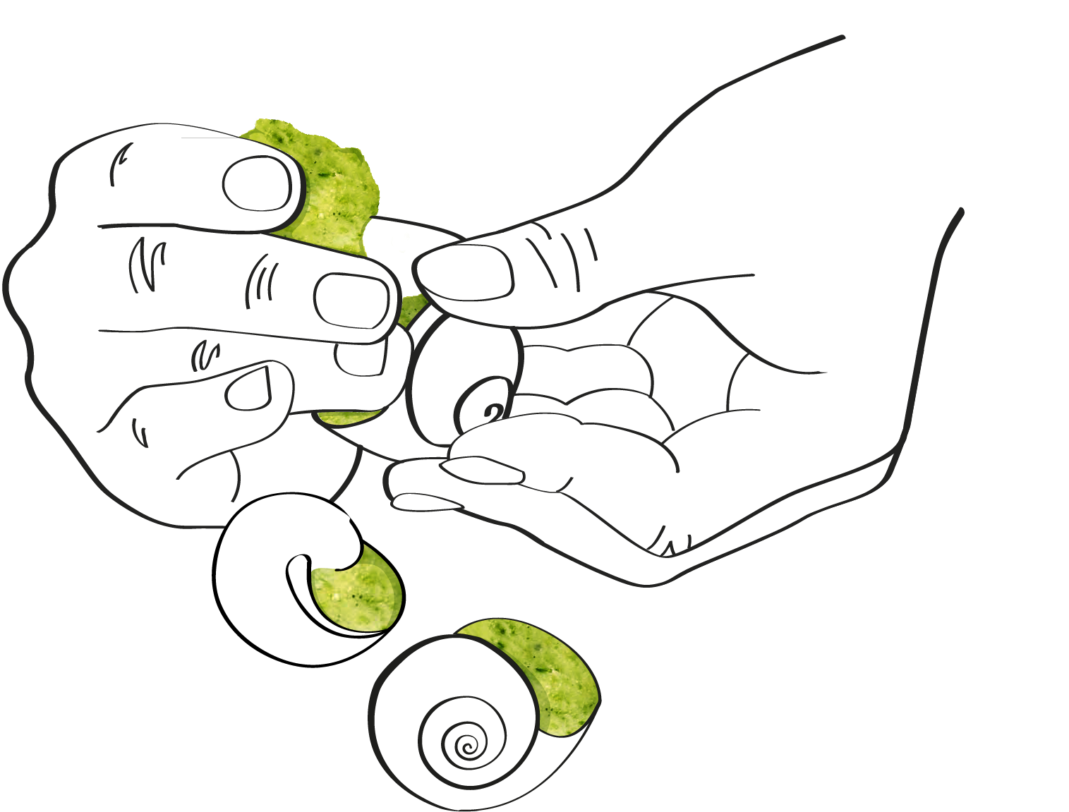 illustration remplissage d'escargots