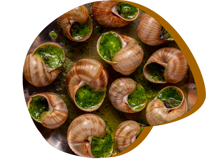 plat escargot Bourgogne Escargots