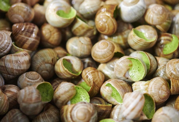 tradition Bourgogne escargots