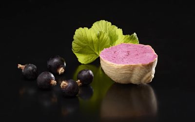 Bourgogne Escargot : nouveauté 2026, les croustilles d’escargots au cassis